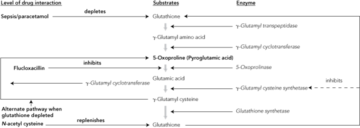Acidemia Metabolic And Respiratory Acidosis And General Approach To Acid Base Crashing Patient